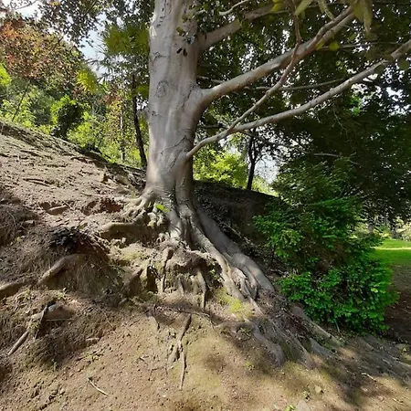 Bmp Gioiosa 1 Terrazza Vista Appartement