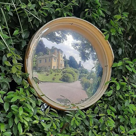 Bmp Gioiosa 1 Terrazza Vista * Belgirate