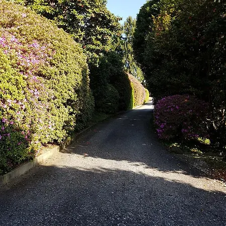 Bmp Gioiosa 1 Terrazza Vista * Belgirate