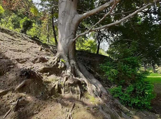 Gioiosa 1 Con Ampio Terrazzo E Vista Appartamento