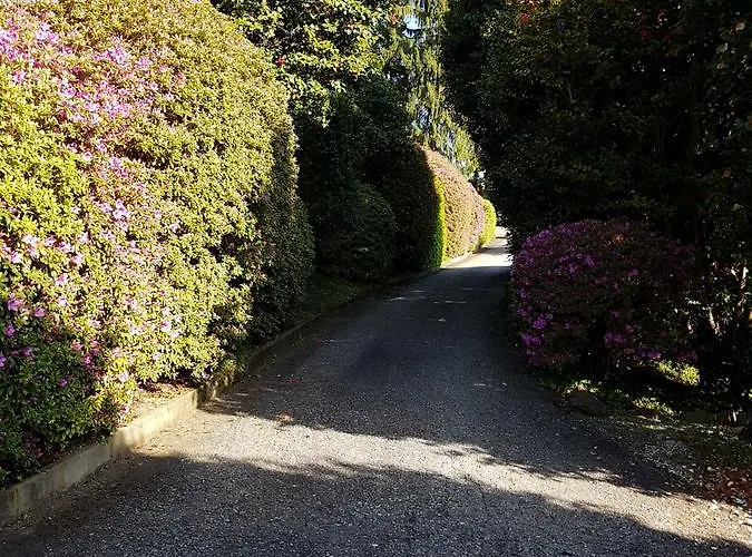 Bmp Gioiosa 1 Terrazza Vista * Belgirate